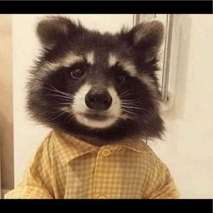 Meet your Posher, Daniel